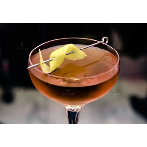 Cocktail Picks 10 pc | Argento